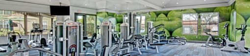Fitness Center at Andante Apartments, Arizona, 85048