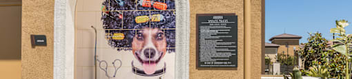 Dog Washing at Andorra Apartments