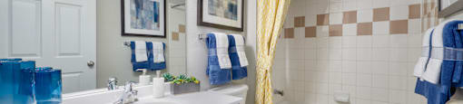a bathroom with a tub sink and toilet and a shower