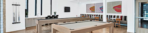 a billiards table and shuffleboard table