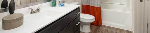 a bathroom with a sink and a toilet and a shower
