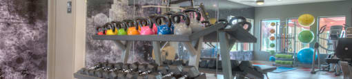 Weight Equipment at Vizcaya Hilltop Apartments, Reno, 89523