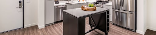 Stainless Steel Kitchen at The Herald Apartments