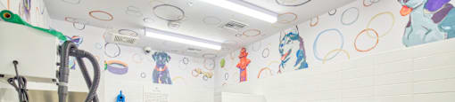 pet grooming station at Aya Apartments