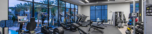 modern fitness center at Pulse Millenia