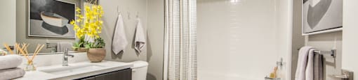 Bathroom at Marc San Marcos Apartments