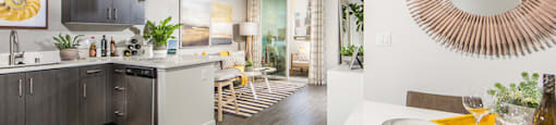 Studio layout at Marc San Marcos Apartments