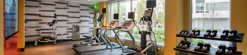 fitness center with cardio equipment and a wall of windows