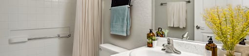 a bathroom with a sink and a toilet and a shower