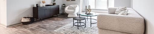 A living room with a grey sofa, a black dresser, a coffee table, and a rug.at Laurel, Union City, 30291  