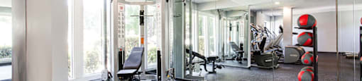 A gym with a row of red dumbbells on the right.at Laurel, Georgia, 30291