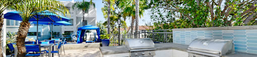 the backyard has an outdoor kitchen with stainless steel appliances and palm trees