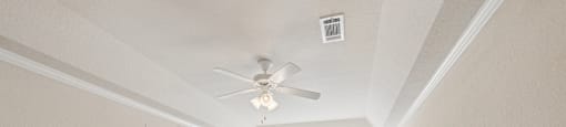 A room with a ceiling fan and a window overlooking a green area.