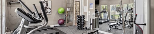 A well-equipped gym with treadmills, exercise balls, and dumbbells.