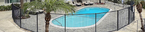 A pool surrounded by a black fence and palm trees.