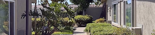 A tree in front of a house.