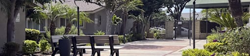 A sunny day at the park with benches and trees.