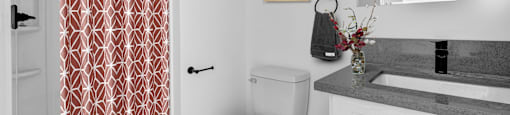 A bathroom with a toilet, sink, and shower curtain.
