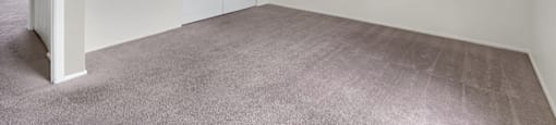 Carpeted bedroom in a 1-bed, 1-bath apartment at Mount Vernon.