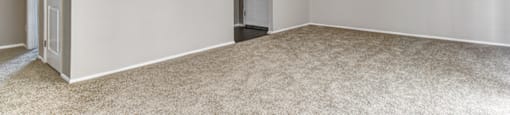 Living room with carpeted floors in a 2-bed, 1-bath apartment at Ashton Brook.