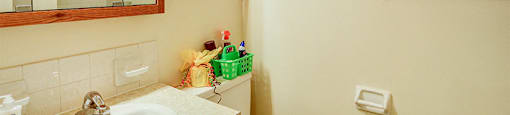 Townhome Bathroom at Williamsburg on the Lake Valparaiso