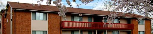 our apartment building in the spring with cherry blossoms