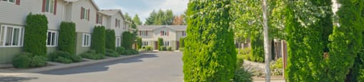 Oak Leaf Village