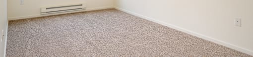 A room with a window and a carpeted floor.