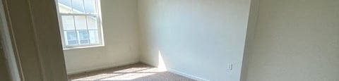 bedroom with plush carpet and natural light