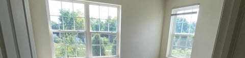 bedroom with large windows and plush carpeting