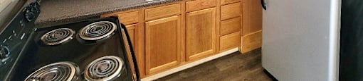 kitchen with ample cabinetry and efficient appliances