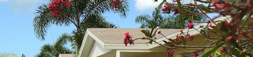 well-kept apartment exteriors with tropical landscaping