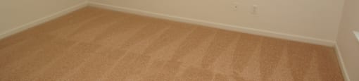 The vacant bedroom has wall to wall carpet and a standard window on one wall.
