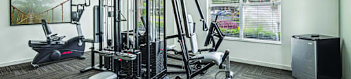 A gym room with a variety of equipment including a treadmill, weights, and a television.