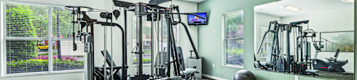 A gym with a variety of equipment including a treadmill, weights, and a bench.