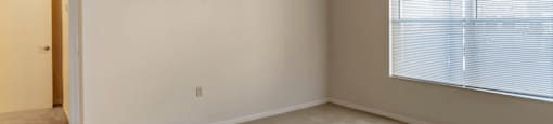 Carpeted Room with Large Window