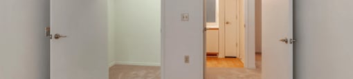 Carpeted Bedroom with Walk in Closet