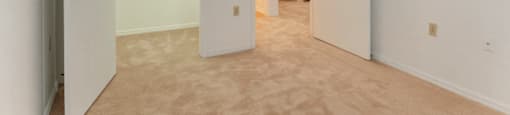 Carpeted Bedroom with Walk in Closet