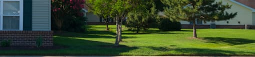 community exterior cottages and landscaping