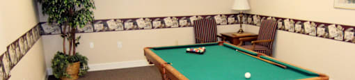 Entertainment Room