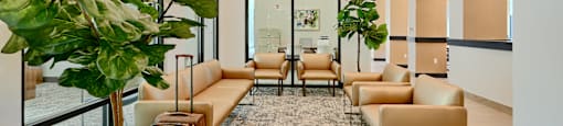 Now leasing senior 1-bedrooms in Baltimore, MD. A room with a large window, a couch, and a potted plant.