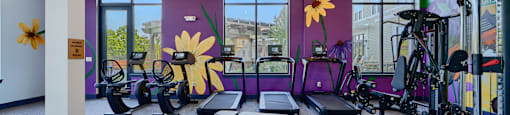 Now leasing senior 1-bedrooms in Baltimore, MD. A gym with purple walls and a variety of exercise equipment.