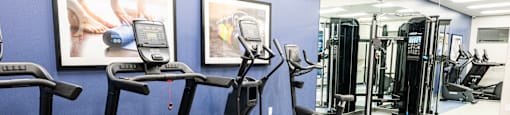 A gym with treadmills, elliptical machines, and other exercise equipment.