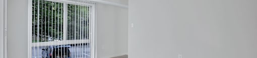 an empty room with a window with a dog in it
