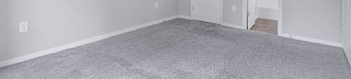 a bedroom with a carpeted floor and a white door