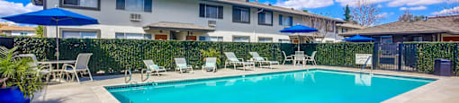 the swimming pool at our hotel