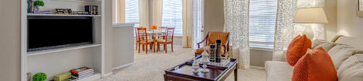 Spacious apartments with built-in shelves, oversized windows, lots of natural light, near the energy corridor in Houston