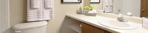 Master bathroom with extra storage space, built-in shelves, tile floors and tile showers at LionsGate Apartments