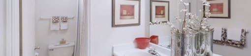Spacious bright white bathroom at Woodlake Oaks Apartments in Houston