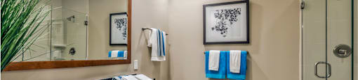 Luxury bathroom with granite countertops, glass shower and separate soaking tub at Villa Piana Apartments in Dallas